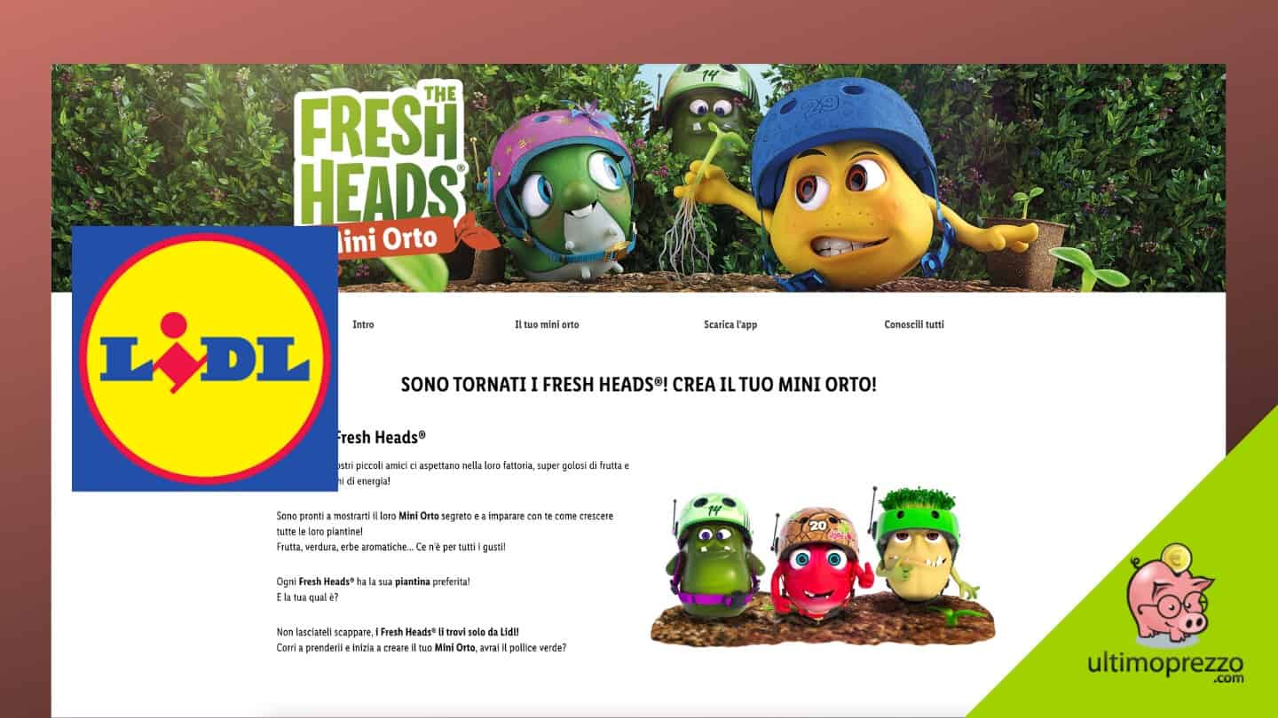 The Fresh Heads Lidl 2022 Mini Orto