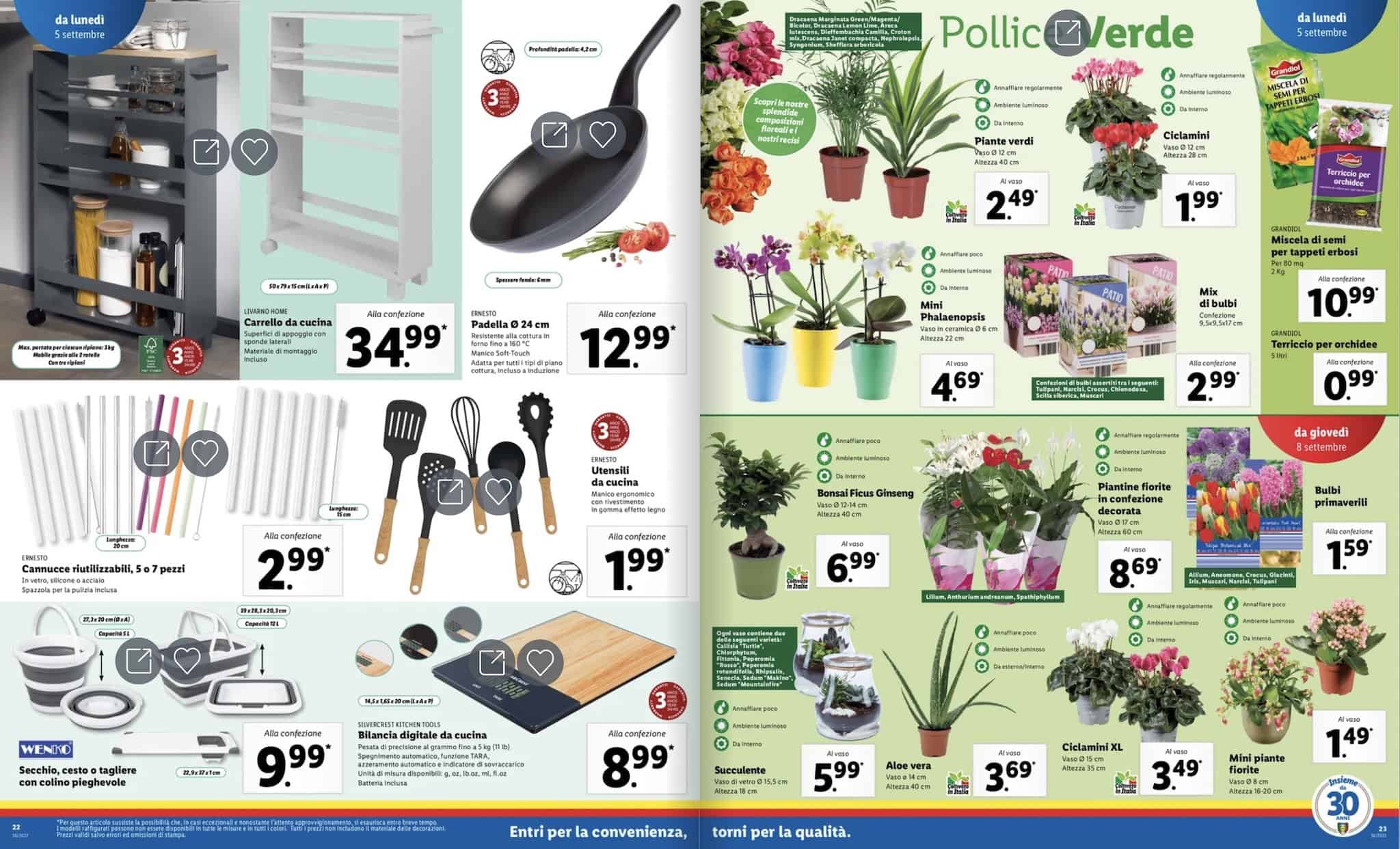 volantino Lidl sottocosto 5 settembre 2022 pagina 12