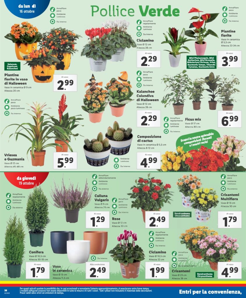 volantino Lidl 16 ottobre 2023 pagina 38