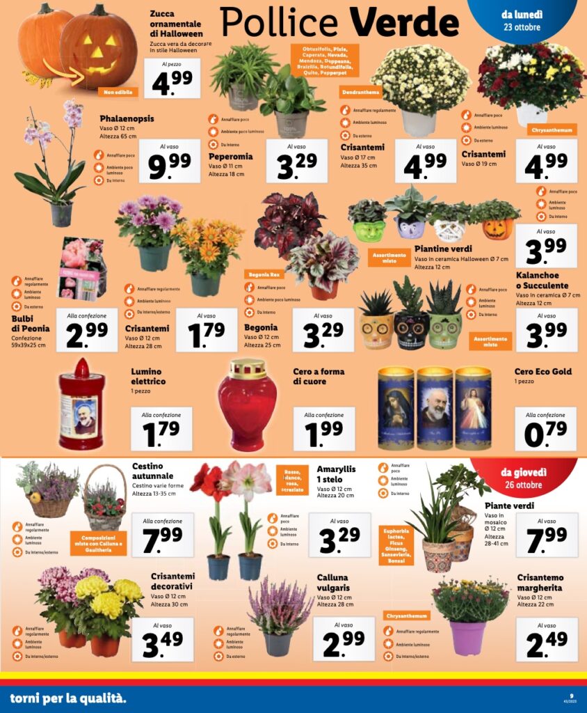 volantino Lidl 23 ottobre 2023 pagina 09