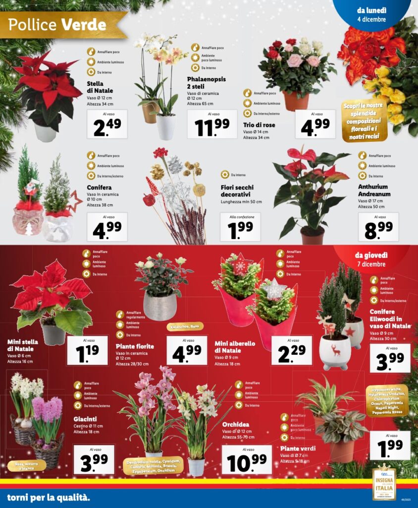 volantino Lidl 4 dicembre 2023 pagina 25