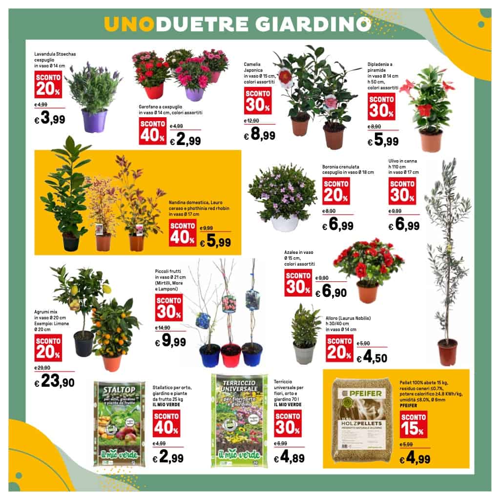 volantino Iper la grande I 1 febbraio 2024 pagina 38
