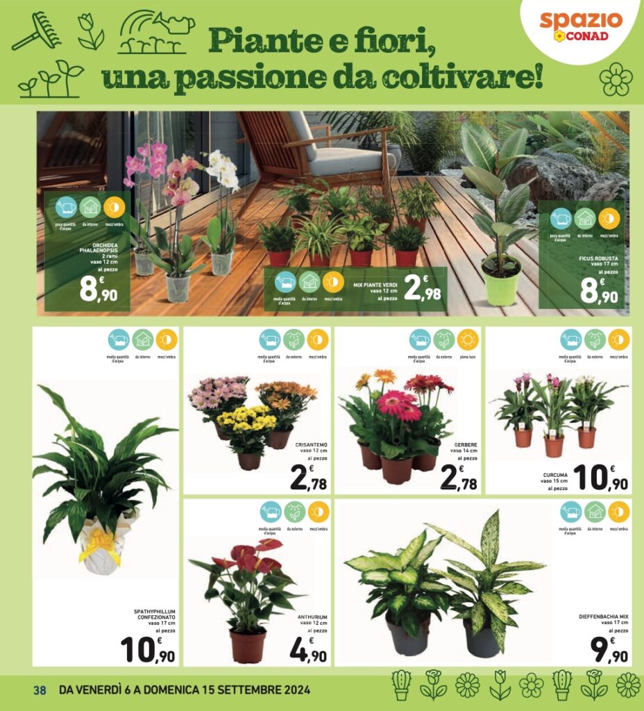 volantino Conad 6 settembre 2024 sottocosto pagina 38