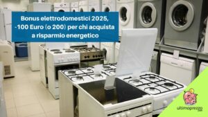 bonus elettrodomestici 2025